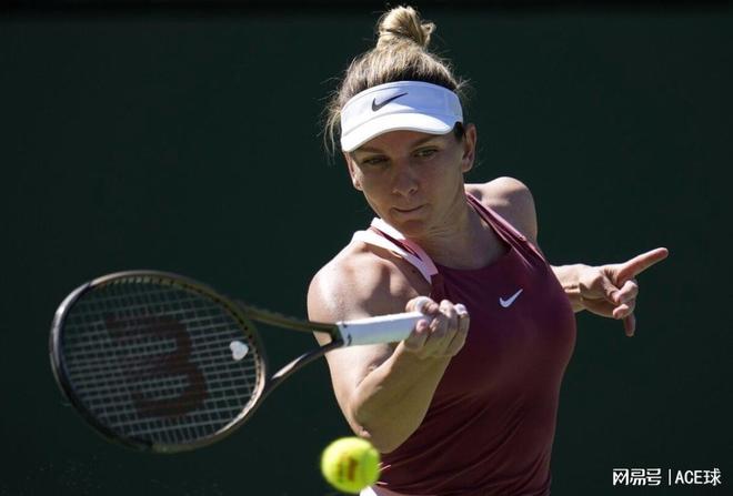 壁球世锦赛埃及选手卫冕成功